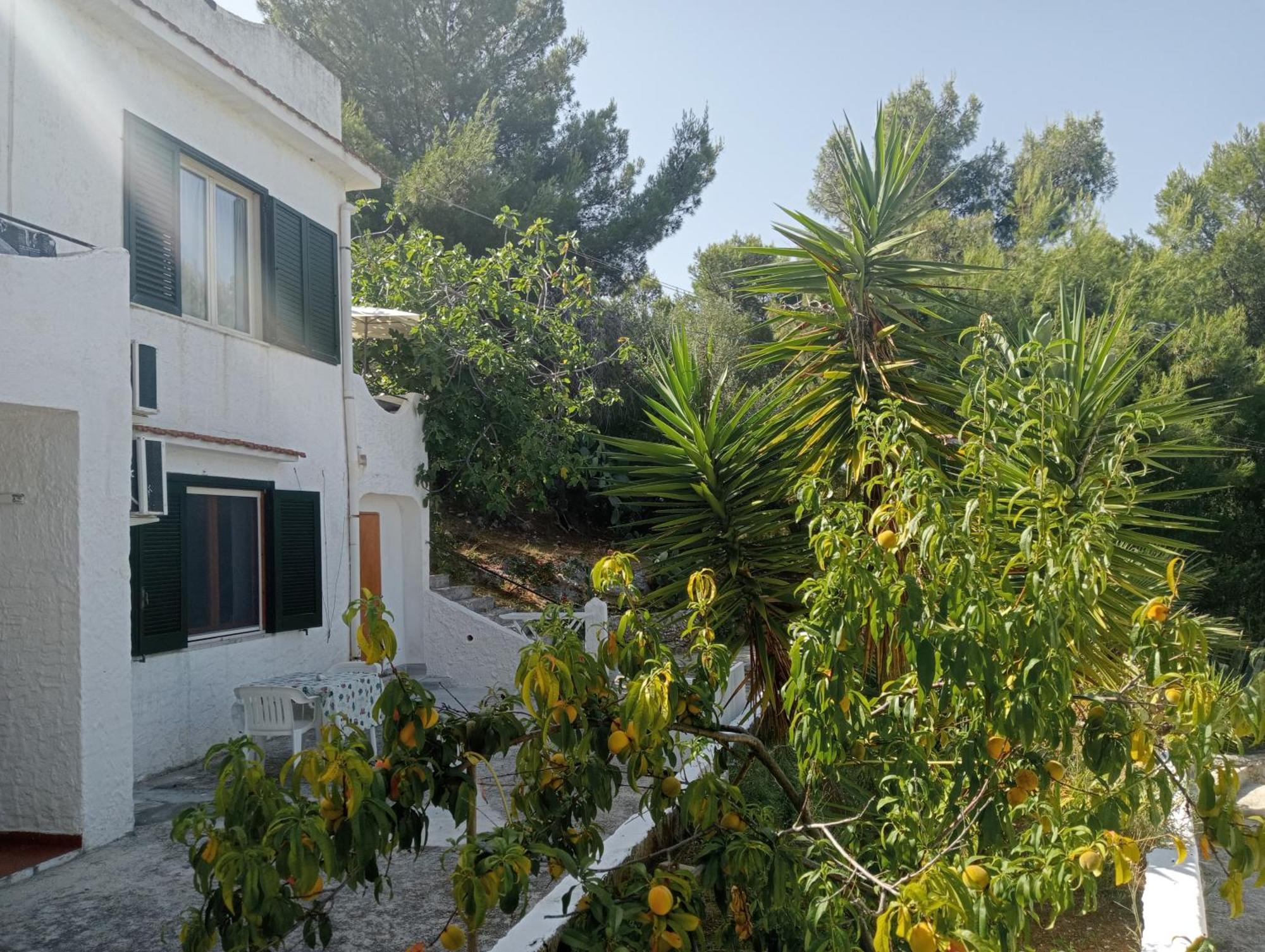 Residence Dolce Far Niente Vieste Exterior photo