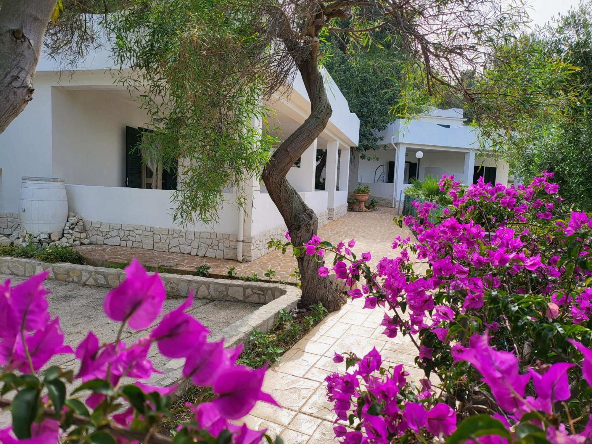 Residence Dolce Far Niente Vieste Exterior photo